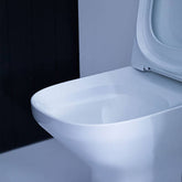 ModernLife® Wall Faced Toilet with Elite Seat